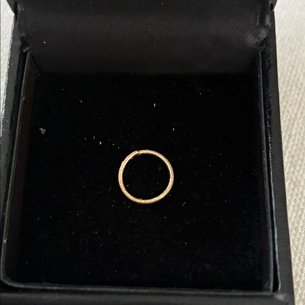 Elegant Gold Nose Ring